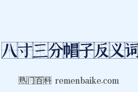 八寸三分帽子反义词是什么意思的图片